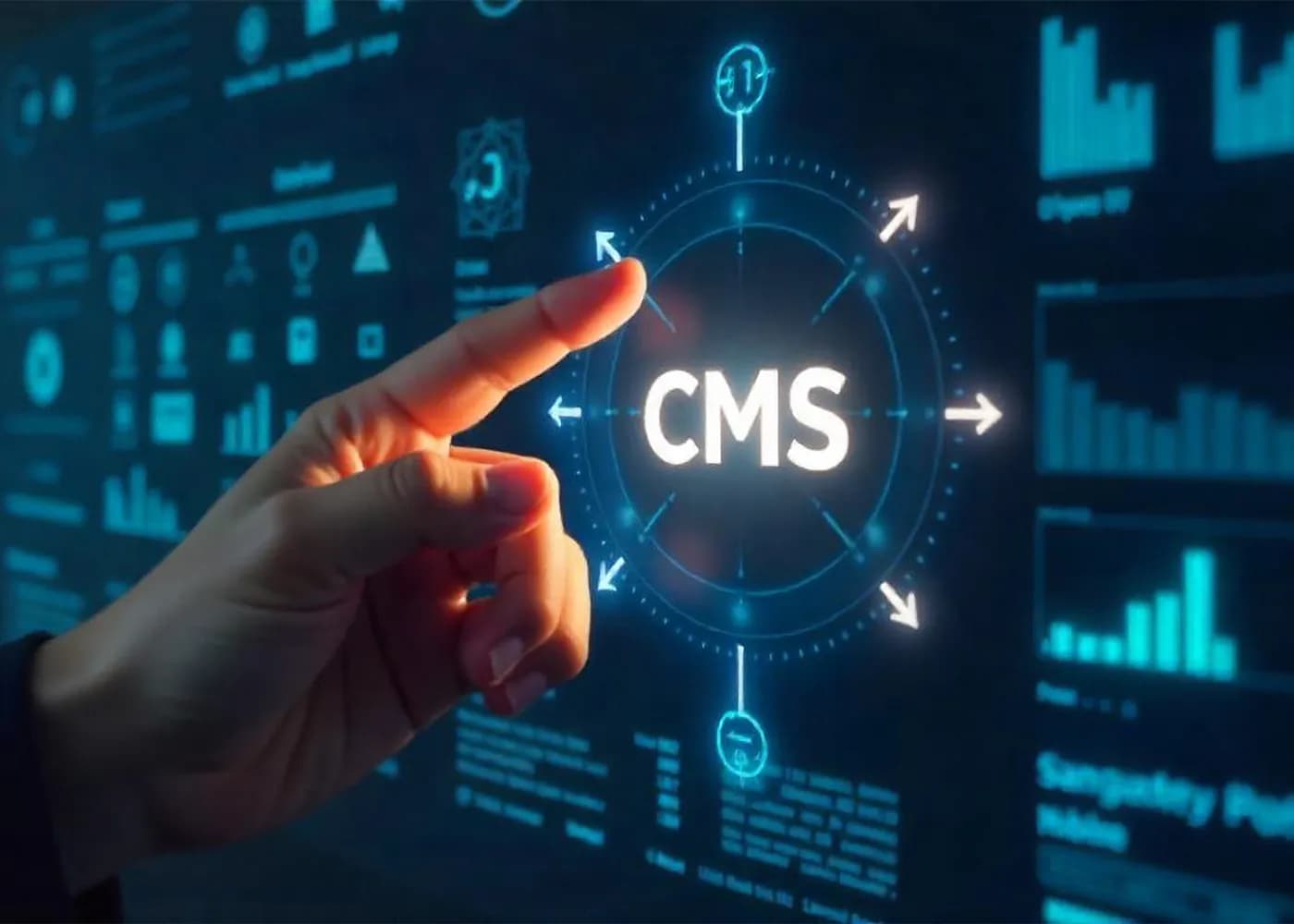 CMS Development Services
